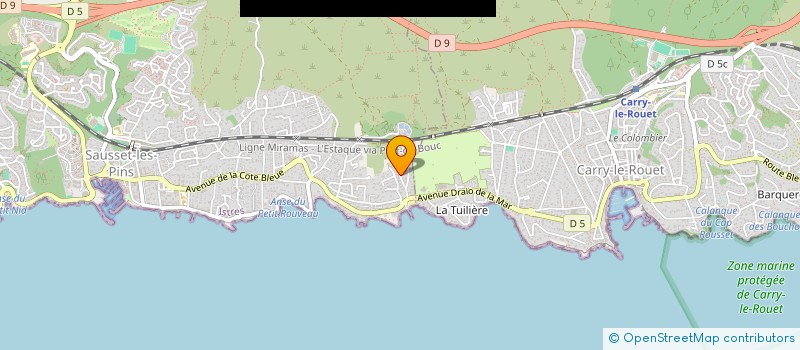 localisation de l'entreprise MONSIEUR JUAN ARTIGAS  SAUSSET-LES-PINS