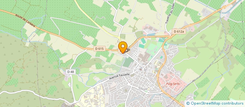 localisation de l'entreprise MONSIEUR JUAN GABRIEL FERNANDEZ FERNANDEZ  THUIR