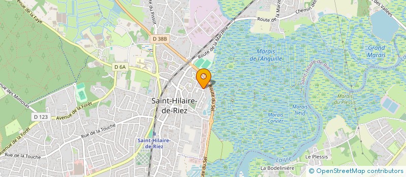 localisation de l'entreprise MONSIEUR JULES DELPECH  SAINT-HILAIRE-DE-RIEZ