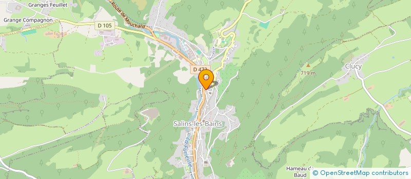 localisation de l'entreprise MONSIEUR JULES JEANNIN  SALINS-LES-BAINS