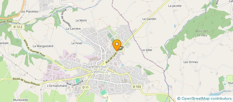 localisation de l'entreprise MONSIEUR JULES PHILIBERT  CHAZELLES SUR LYON