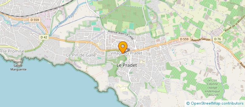 localisation de l'entreprise MONSIEUR JULIEN ADELE  LE PRADET