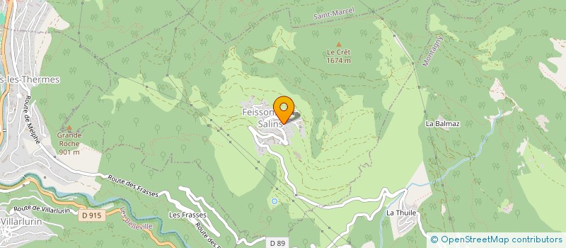 localisation de l'entreprise MONSIEUR JULIEN APARICIO-CANEJERO  FEISSONS-SUR-SALINS