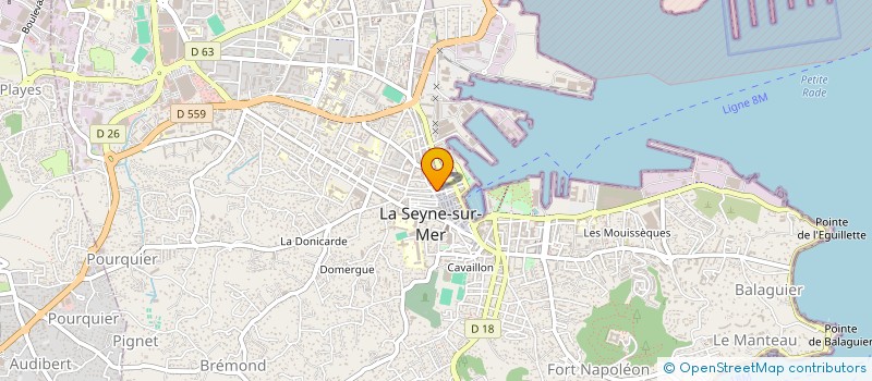 localisation de l'entreprise MONSIEUR JULIEN BARADAT à LA SEYNE-SUR-MER