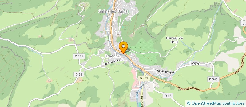 localisation de l'entreprise MONSIEUR JULIEN BASSARD  SALINS LES BAINS