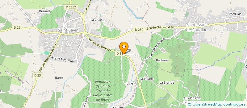 localisation de l'entreprise MONSIEUR JULIEN BAUDON à SAINT-SAVIN