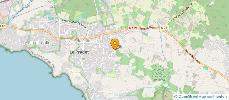 localisation de l'entreprise MONSIEUR JULIEN BEAUCHEZ à LE PRADET