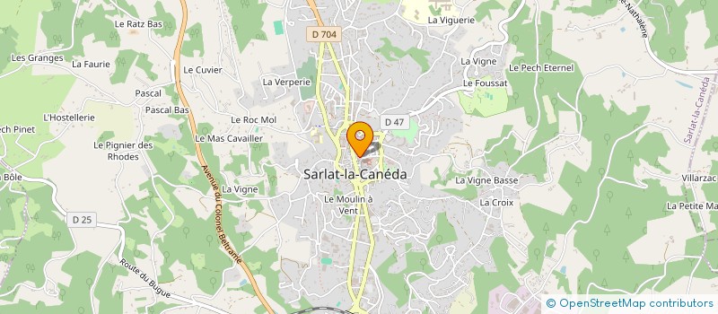 localisation de l'entreprise MONSIEUR JULIEN BOYER  LES EYZIES