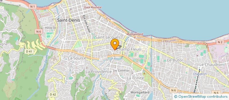 localisation de l'entreprise MONSIEUR JULIEN BUISSON DE LARICHAUDY  SAINT-DENIS