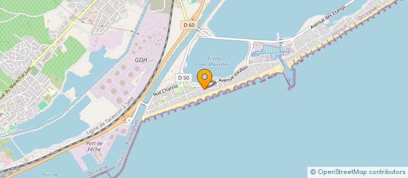 localisation de l'entreprise MONSIEUR JULIEN CEREZO à FRONTIGNAN