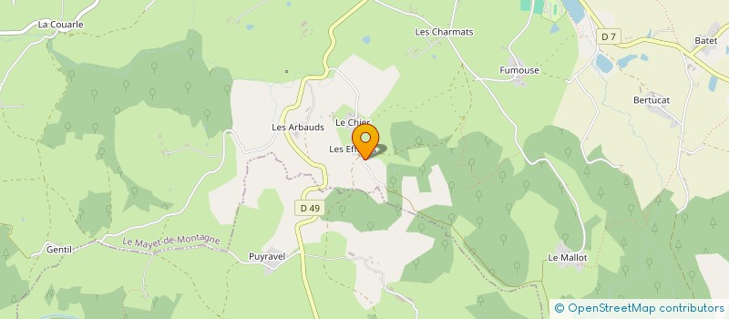 localisation de l'entreprise MONSIEUR JULIEN DEBATISSE  LE MAYET-DE-MONTAGNE