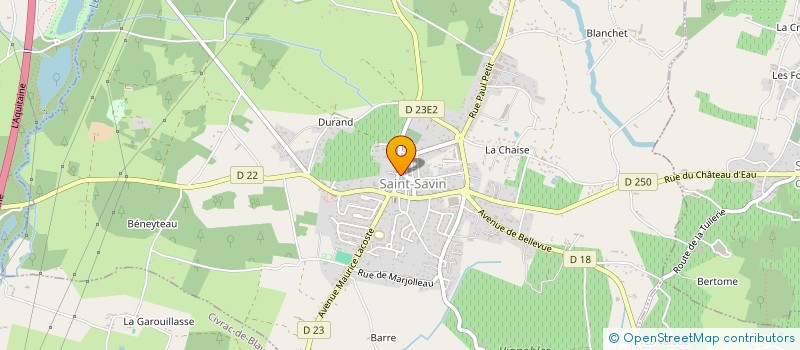 localisation de l'entreprise MONSIEUR JULIEN DESCHMARDIN  SAINT-SAVIN