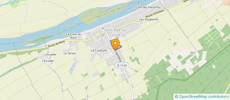 localisation de l'entreprise MONSIEUR JULIEN DESTOUCHES  SAINT-DYE-SUR-LOIRE