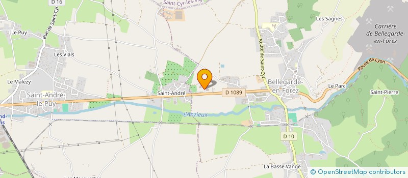 localisation de l'entreprise MONSIEUR JULIEN DRUTEL  BELLEGARDE-EN-FOREZ