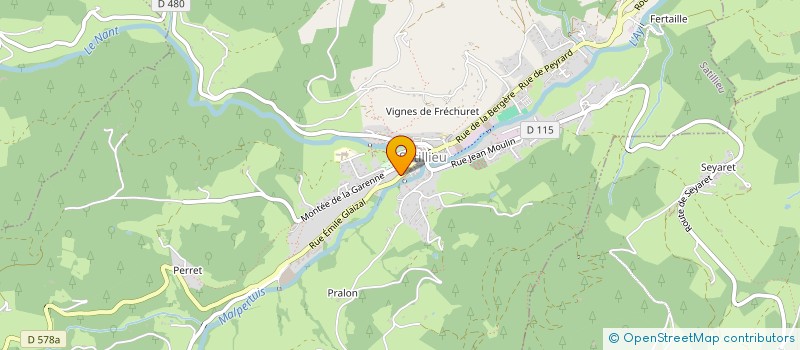 localisation de l'entreprise MONSIEUR JULIEN GERVASONI à PEYRAUD