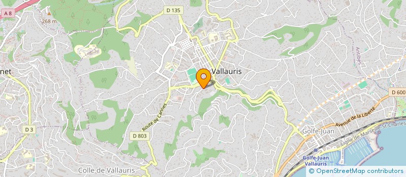 localisation de l'entreprise MONSIEUR JULIEN GIACCARDI  VALLAURIS