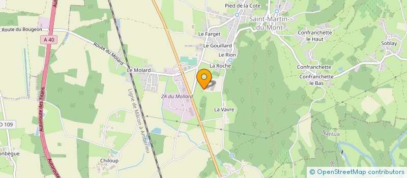 localisation de l'entreprise MONSIEUR JULIEN GONIN  SAINT-MARTIN-DU-MONT
