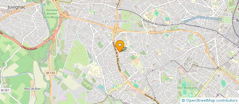 localisation de l'entreprise MONSIEUR JULIEN HUC  MONTPELLIER