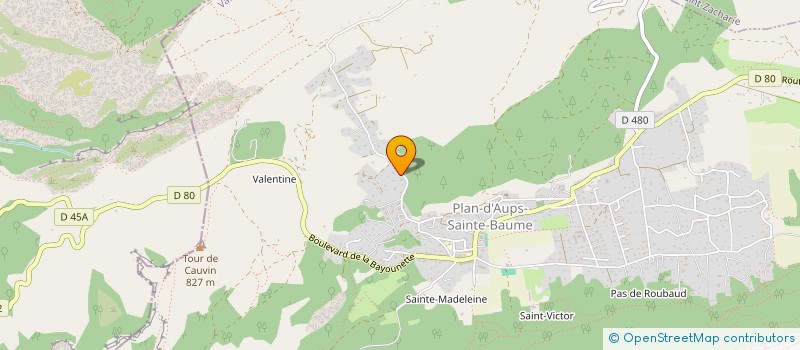 localisation de l'entreprise MONSIEUR JULIEN JANKOWSKI  PLAN D'AUPS SAINTE BAUME