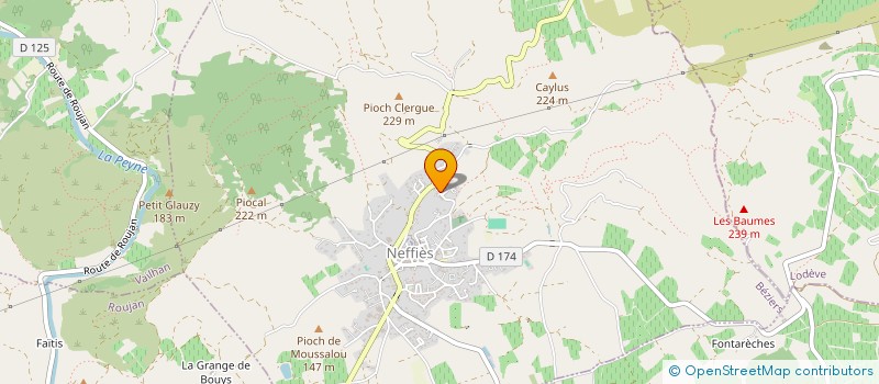 localisation de l'entreprise MONSIEUR JULIEN LADIC  NEFFIES