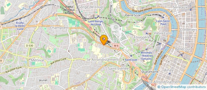 localisation de l'entreprise MONSIEUR JULIEN LOOS à LYON