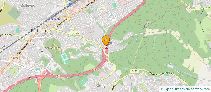 localisation de l'entreprise MONSIEUR JULIEN MARCHESE  FORBACH