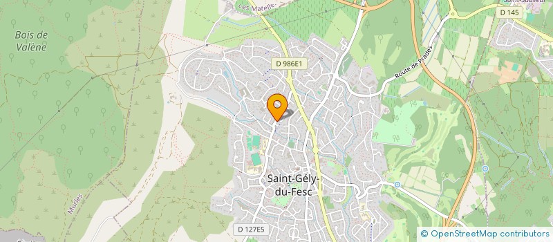 localisation de l'entreprise MONSIEUR JULIEN MEILLAN  SAINT-GELY-DU-FESC