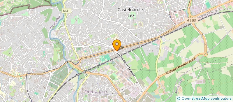localisation de l'entreprise MONSIEUR JULIEN MELSAN à CASTELNAU-LE-LEZ