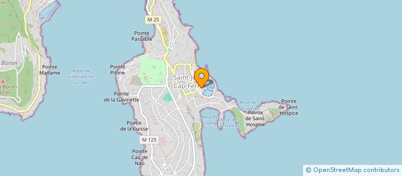 localisation de l'entreprise MONSIEUR JULIEN MERLE  SAINT-JEAN-CAP-FERRAT