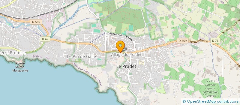 localisation de l'entreprise MONSIEUR JULIEN ORSINI à LE PRADET