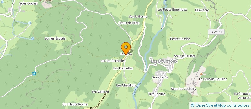 localisation de l'entreprise MONSIEUR JULIEN PERRIER-CORNET  LES BOUCHOUX