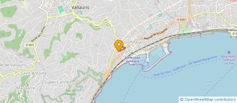 localisation de l'entreprise MONSIEUR JULIEN PETITEAU  VALLAURIS