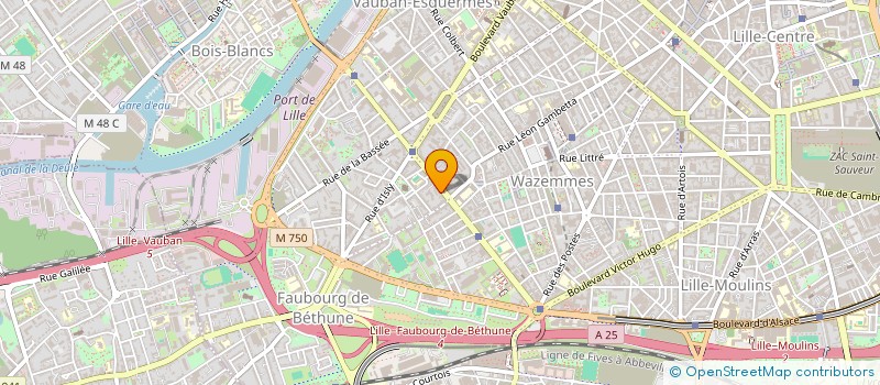 localisation de l'entreprise MONSIEUR JULIEN PEYTRAL  LILLE