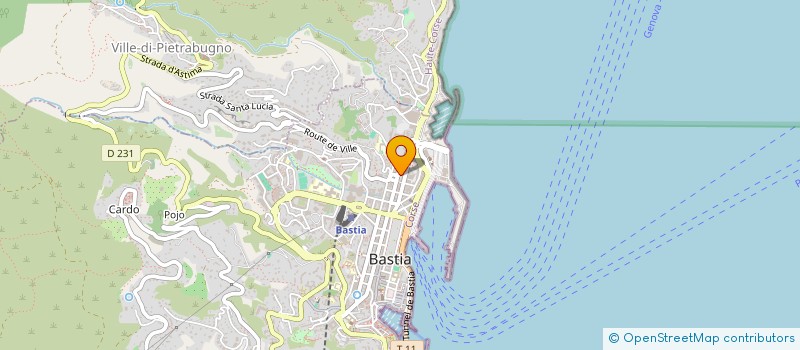 localisation de l'entreprise MONSIEUR JULIEN PIAZZOLI à BASTIA