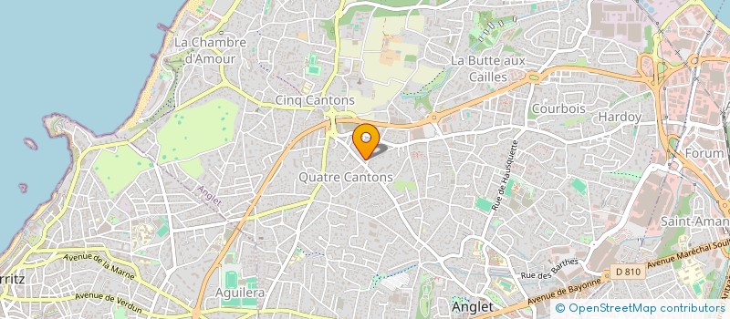 localisation de l'entreprise MONSIEUR JULIEN PUTTEMANS  ANGLET