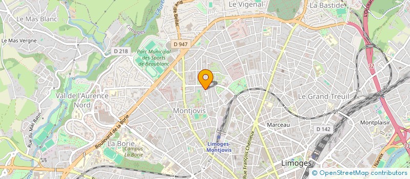 localisation de l'entreprise MONSIEUR JULIEN RACHMANN à LIMOGES