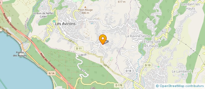 localisation de l'entreprise MONSIEUR JULIEN REMAY  LES AVIRONS