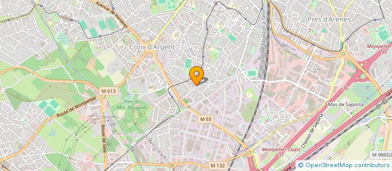 localisation de l'entreprise MONSIEUR JULIEN RIBELAYGUE à MONTPELLIER