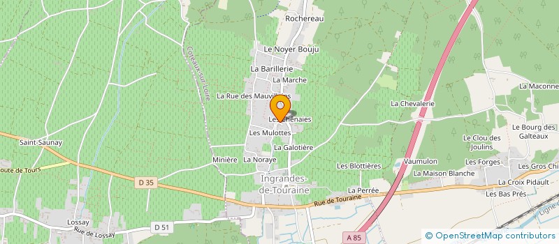 localisation de l'entreprise MONSIEUR JULIEN RICARD  COTEAUX-SUR-LOIRE