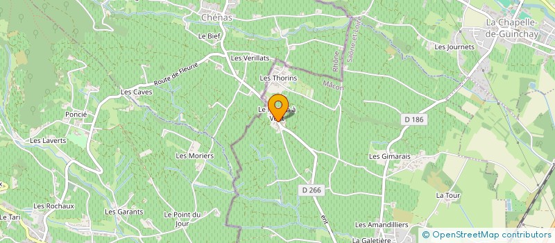 localisation de l'entreprise MONSIEUR JULIEN SANTRAINE à ROMANECHE-THORINS