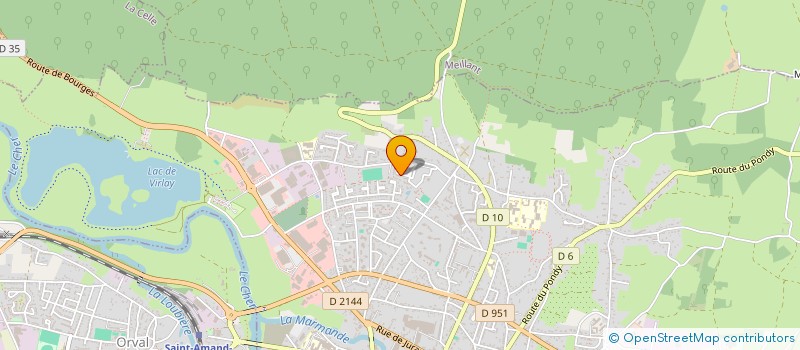 localisation de l'entreprise MONSIEUR JULIEN THOMAS  SAINT-AMAND-MONTROND