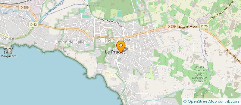 localisation de l'entreprise MONSIEUR JULIEN TOLLARDO  LE PRADET