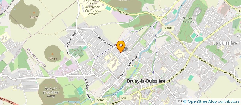 localisation de l'entreprise MONSIEUR JULIEN VILLERS  BRUAY-LA-BUISSIERE