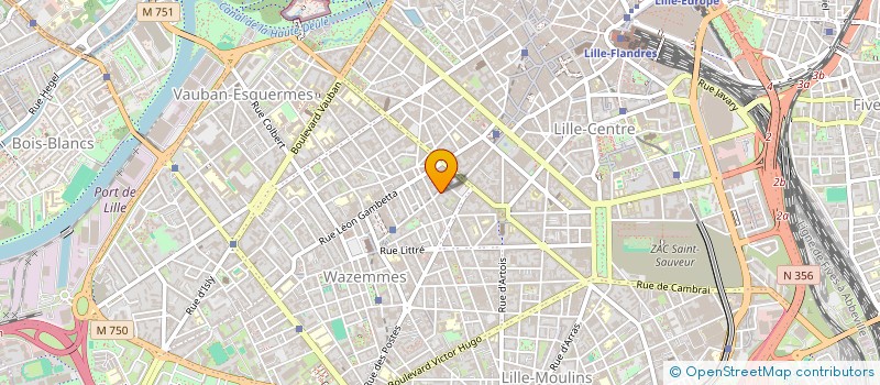 localisation de l'entreprise MONSIEUR JULIEN VONG à LILLE