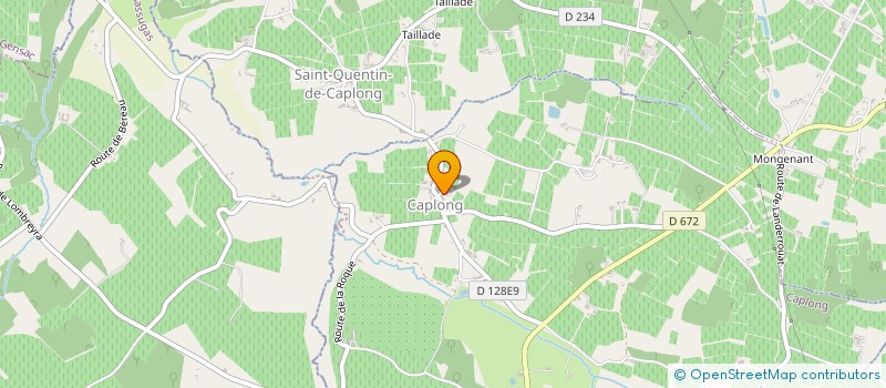 localisation de l'entreprise MONSIEUR JULIO DE ASSIS  CAPLONG