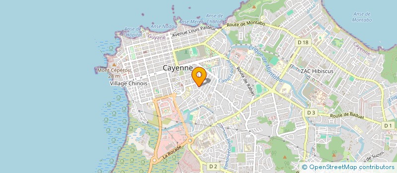 localisation de l'entreprise MONSIEUR JULNER RECIA  CAYENNE