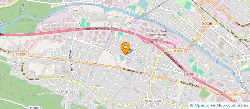 localisation de l'entreprise MONSIEUR JUSMIR ADEMOVIC  SCIONZIER