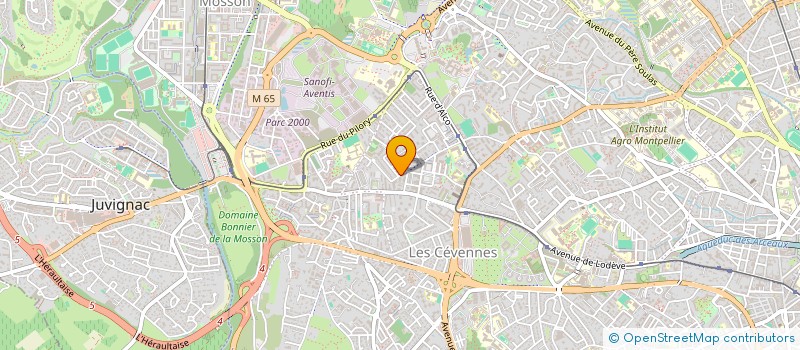 localisation de l'entreprise MONSIEUR JUSTIN LEMOISSON  MONTPELLIER