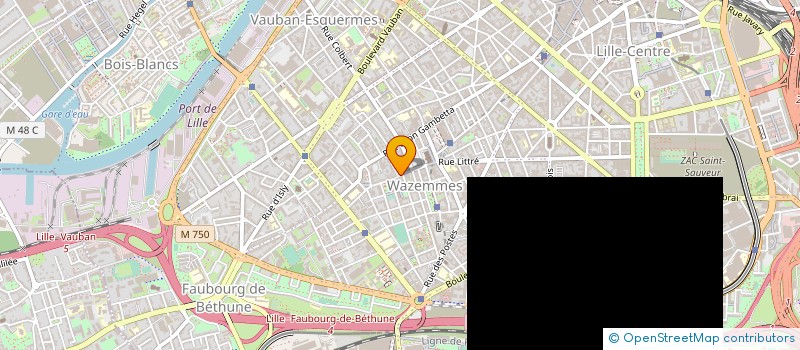 localisation de l'entreprise MONSIEUR JUVENTINO CAPELA à LILLE