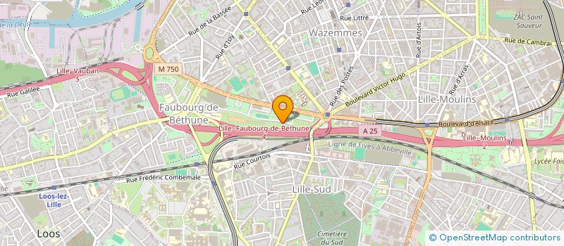 localisation de l'entreprise MONSIEUR KAMEL MEHMEL  LILLE